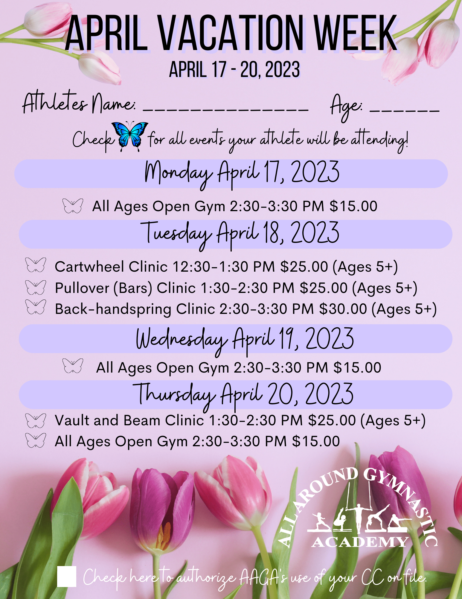 All Around Gymnastic Academy in Plainville, Massachusetts